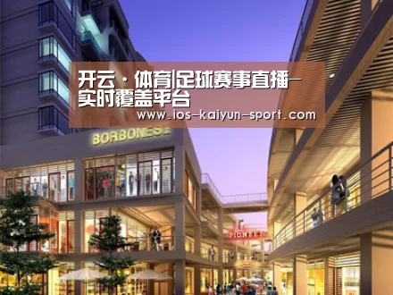 案例展示一(图1)