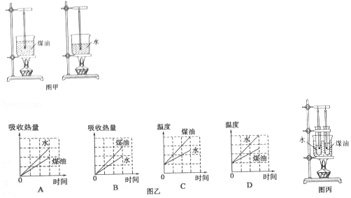 开云_生肖鼠话(图1) 开云集团