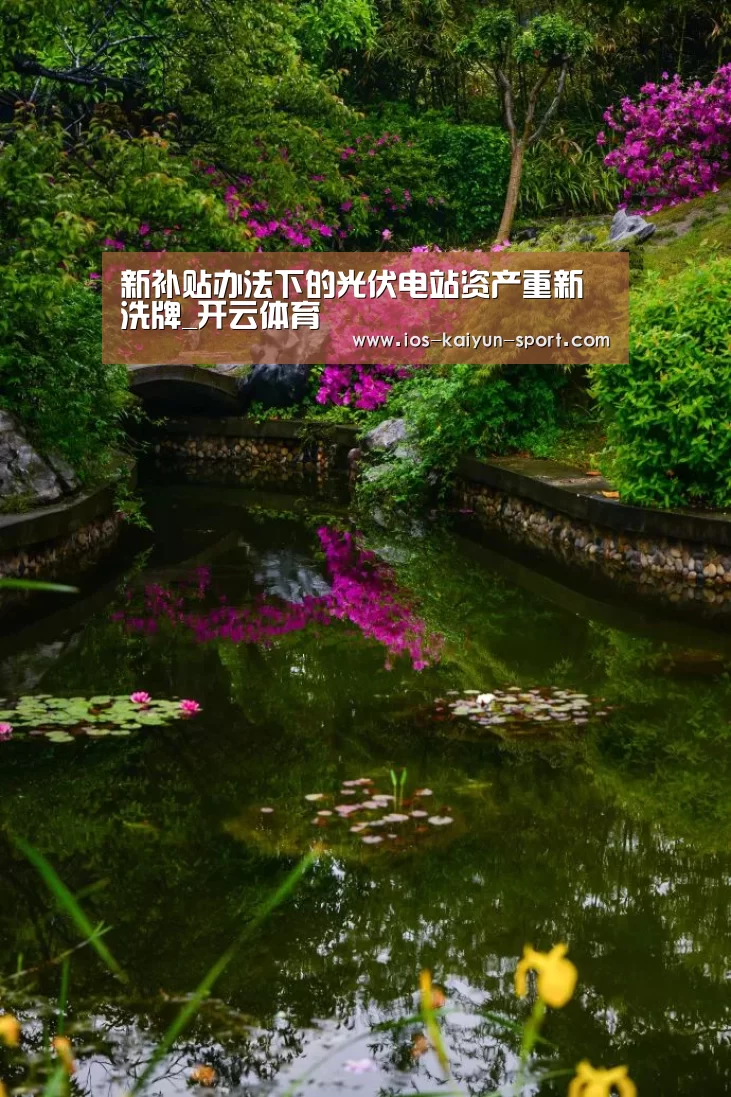 新补贴办法下的光伏电站资产重新洗牌_开云体育(图1) 开云体育