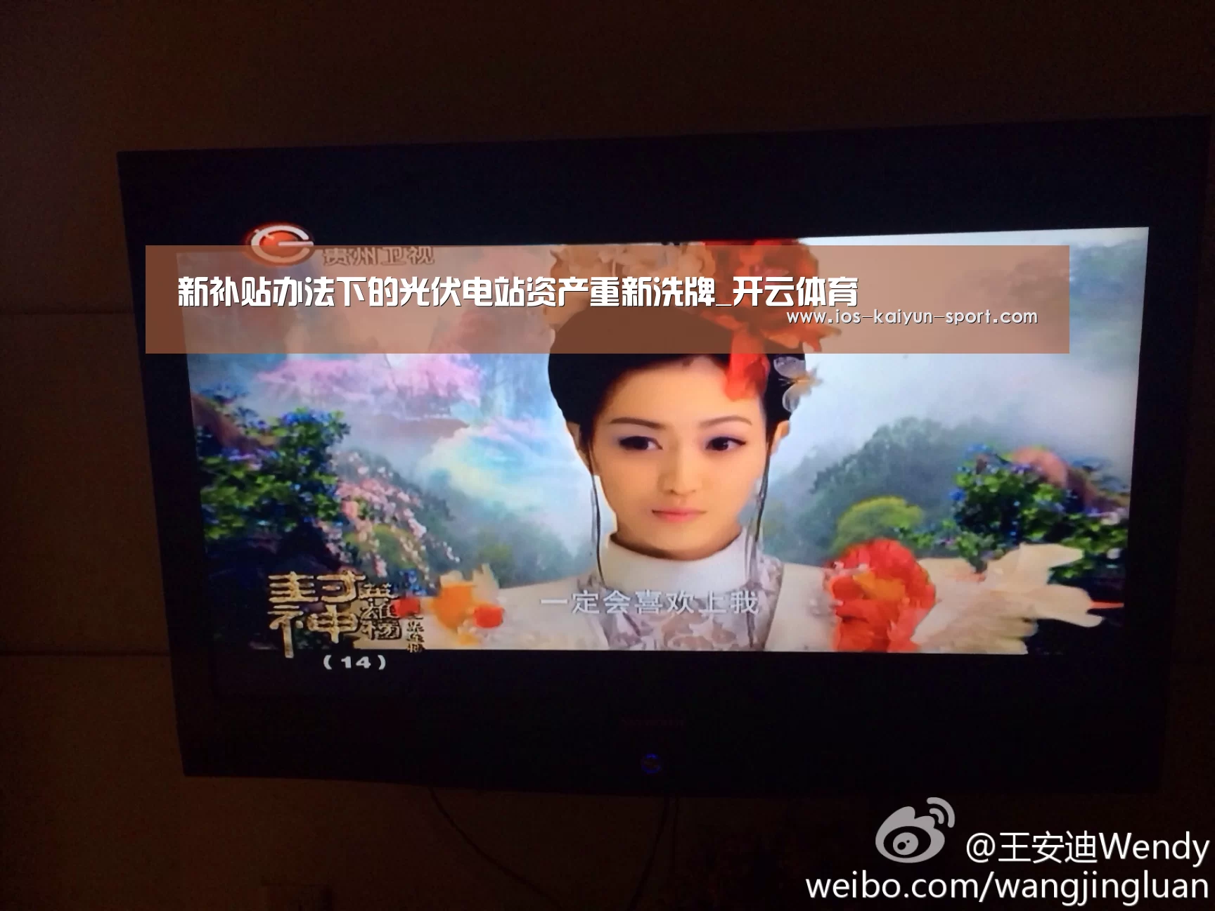新补贴办法下的光伏电站资产重新洗牌_开云体育(图2) 开云体育